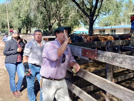 tn_IMG_20240326_141023813_HDR