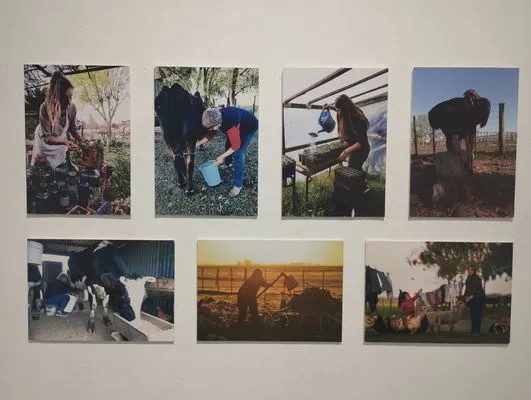 tn_IMG_20241015_185607999