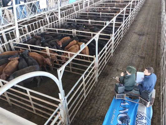 tn_IMG_20240916_100934627