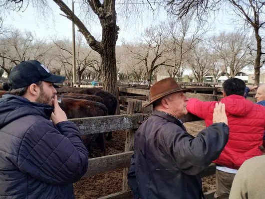 tn_IMG_20240718_145837652_HDR