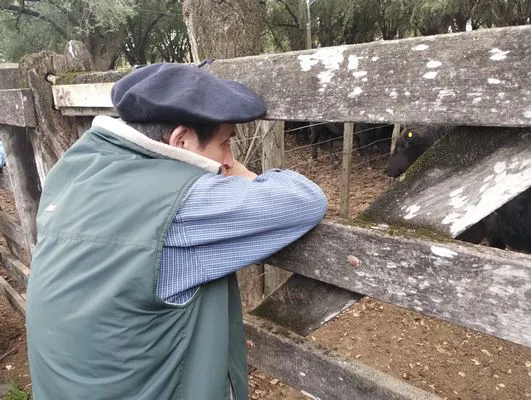 tn_IMG_20250425_161547438