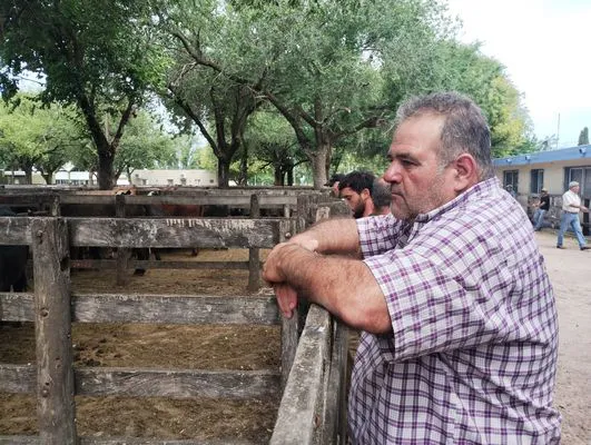 tn_IMG_20250116_152632592