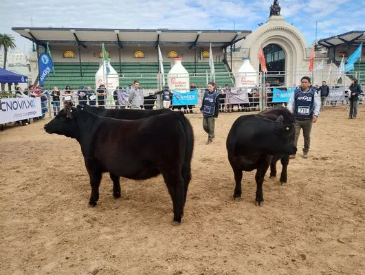 tn_IMG_20250521_121148011_HDR