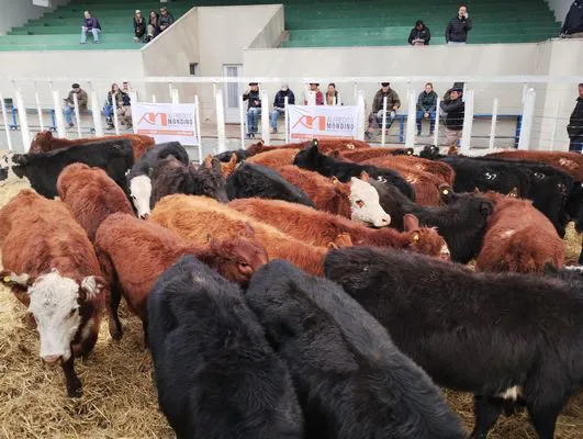 tn_IMG_20240731_130906668_HDR