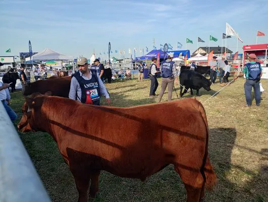 tn_IMG_20240918_170259442_HDR