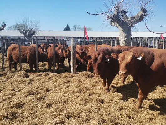 tn_IMG_20240912_111758838