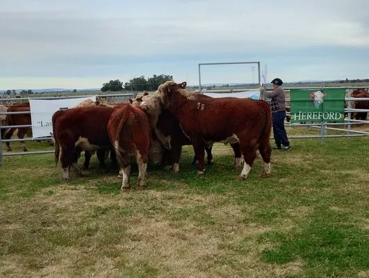 tn_IMG_20240614_152005999_HDR