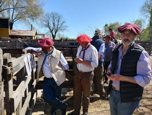 tn_IMG_20240925_113924400_HDR