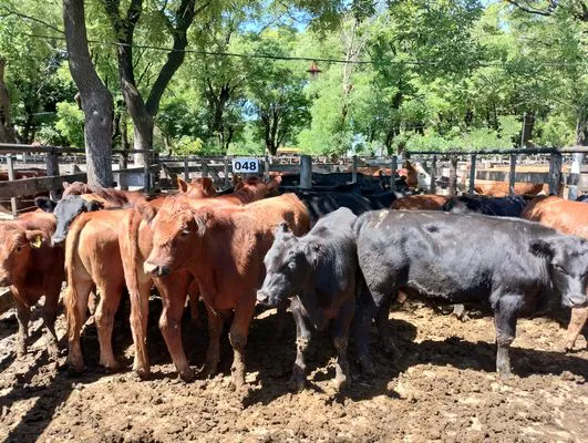 tn_IMG_20241129_145744842_HDR