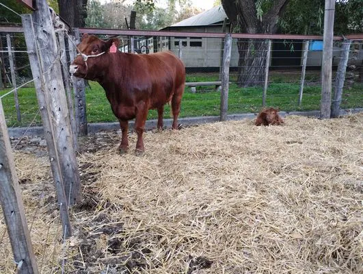 tn_IMG_20240501_174202732