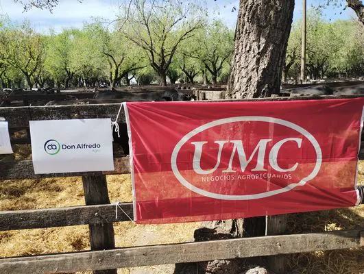 tn_IMG_20241008_144833784