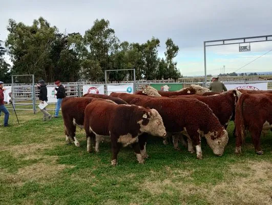 tn_IMG_20240614_144638344_HDR