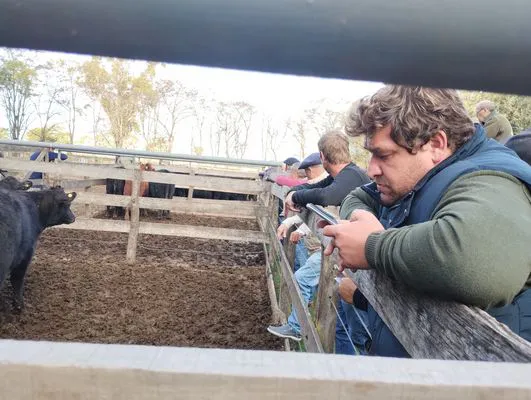 tn_IMG_20250505_164320254