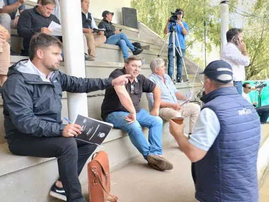 tn_IMG_20240322_152234657_HDR