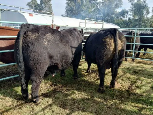 tn_IMG_20240815_112314112_HDR