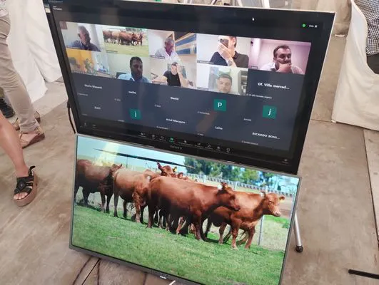 tn_IMG_20241122_140905145