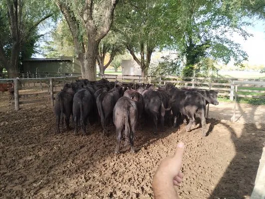 tn_IMG_20250425_160915598