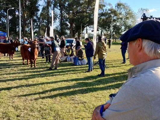 tn_IMG_20240502_164934245_HDR