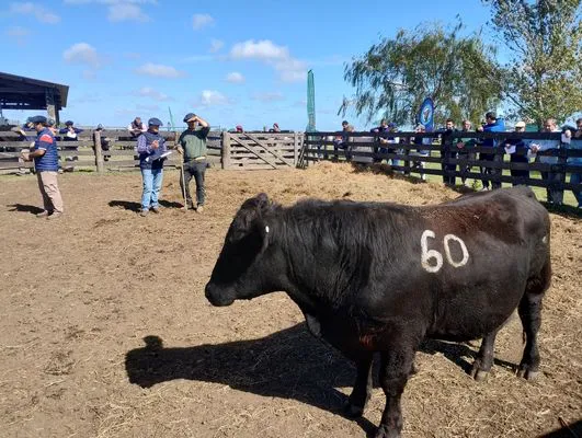 tn_IMG_20250409_115123442_HDR