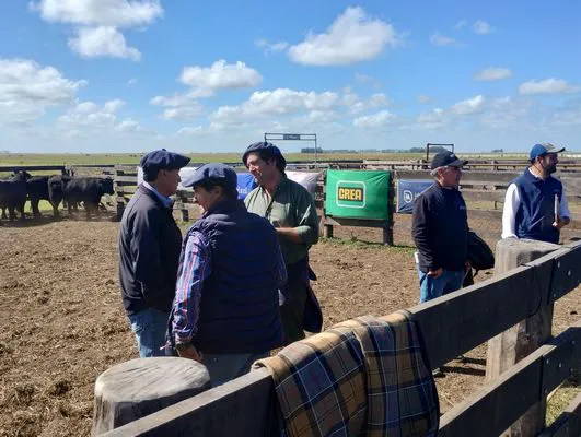 tn_IMG_20250409_121740052_HDR