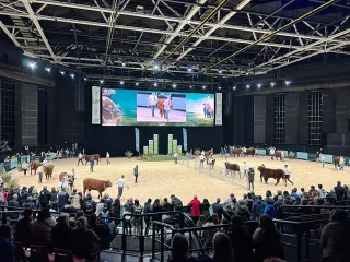 LA-CUMBRE-DE-LA-GANADERIA-320x240