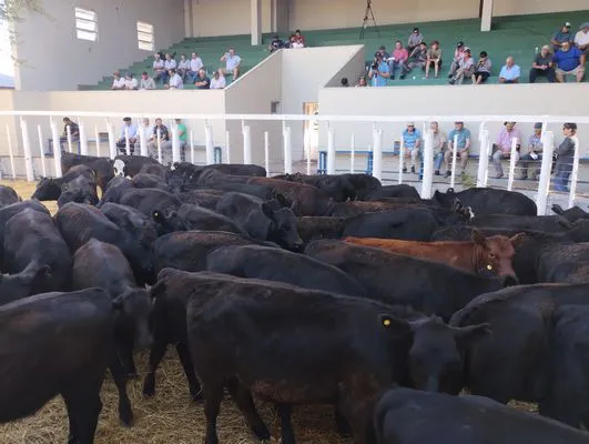 tn_IMG_20240214_165538395