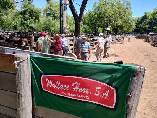 tn_IMG_20241129_134826374_HDR