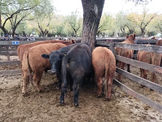 tn_IMG_20240430_144952111