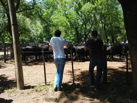 tn_IMG_20231213_121422481