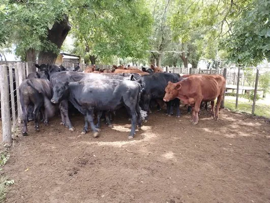 tn_IMG_20241211_120242761