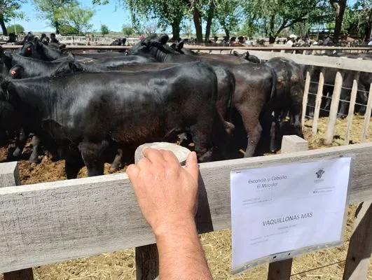 tn_IMG_20241026_122008647_HDR