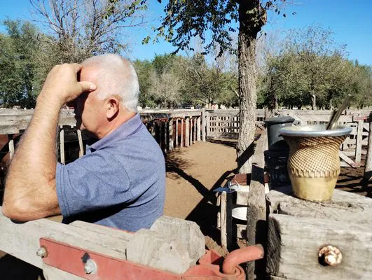 tn_IMG_20240405_104050156