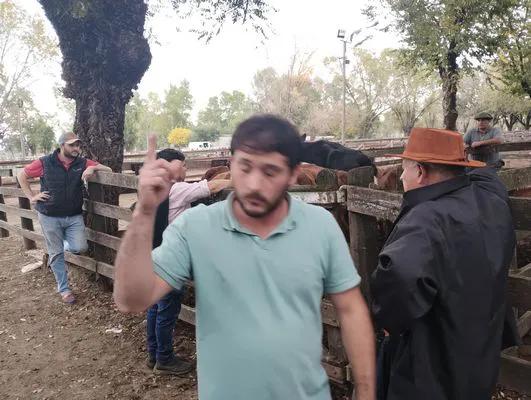 tn_IMG_20250425_155833341