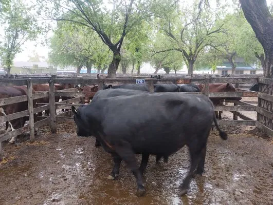 tn_IMG_20241023_115011276