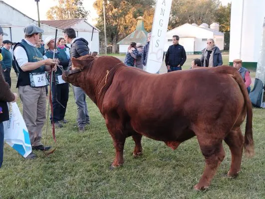 tn_IMG_20240502_175200235