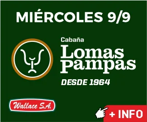 Lomas Pampas - Campo Industria  - 300 x 250 px.jpg