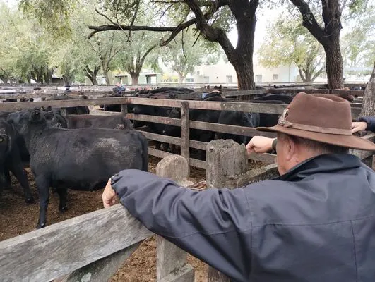 tn_IMG_20240430_145431060