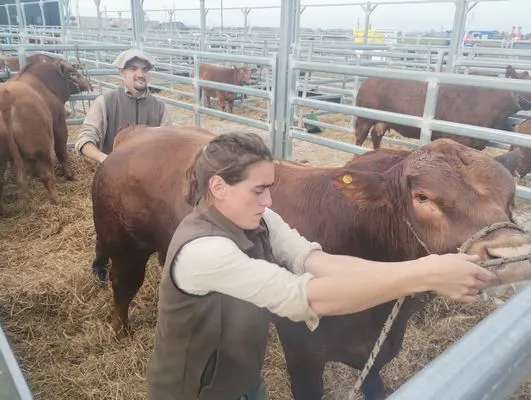 tn_IMG_20250604_164318707