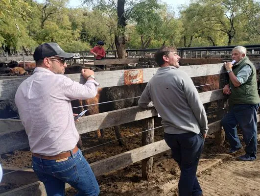 tn_IMG_20250514_130957634_HDR