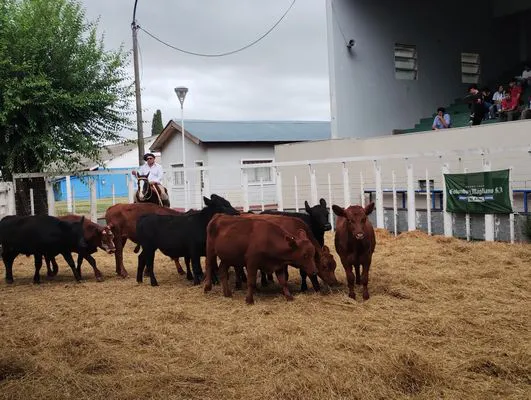 tn_IMG_20250205_160933948