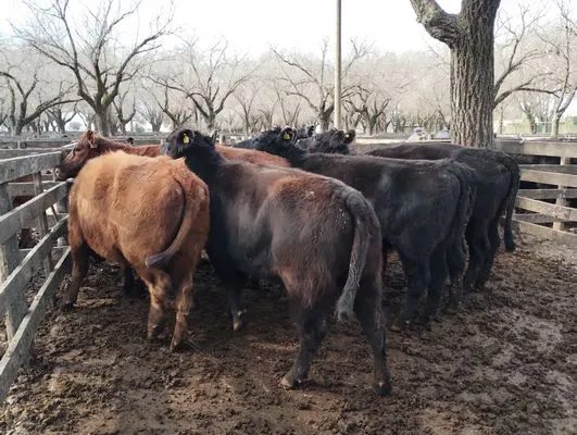 tn_IMG_20240718_145833268