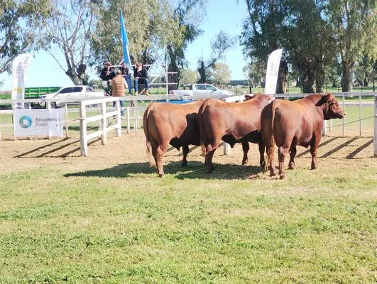 tn_IMG_20241002_094900960