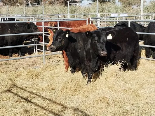 tn_IMG_20240711_120915142