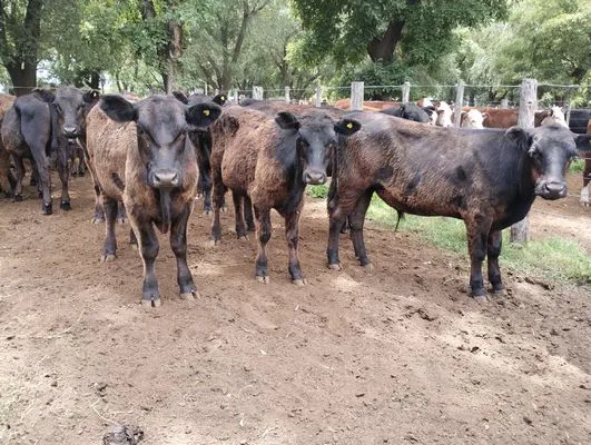 tn_IMG_20241211_120149757