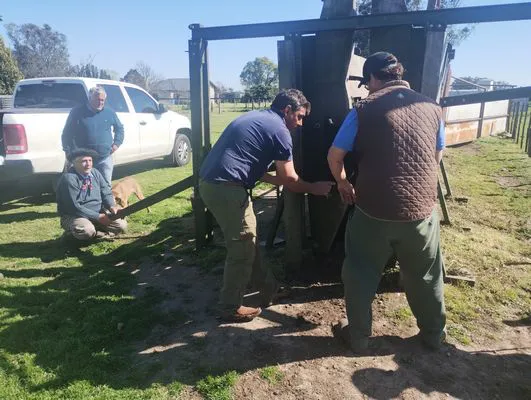 tn_IMG_20240924_103152971