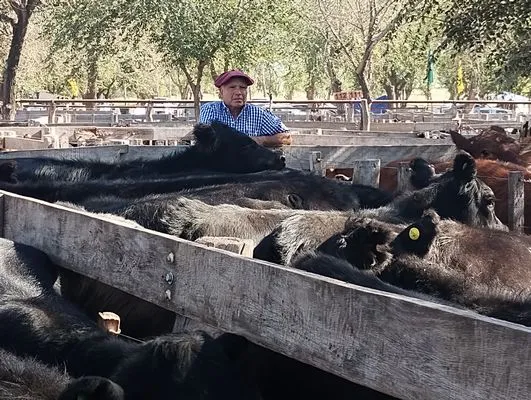 tn_IMG_20240406_154249888