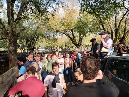 tn_IMG_20250425_162233365_HDR