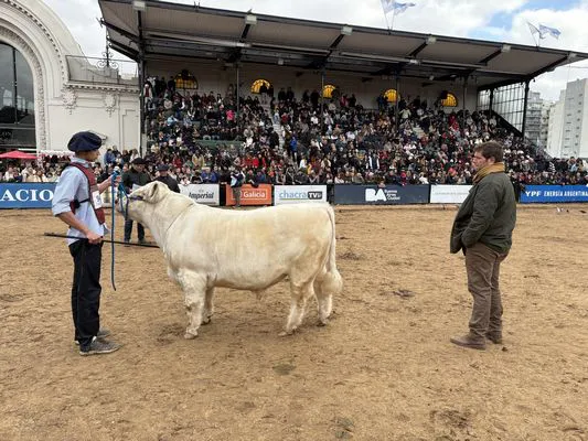 tn_LOS NARANJOS 944A