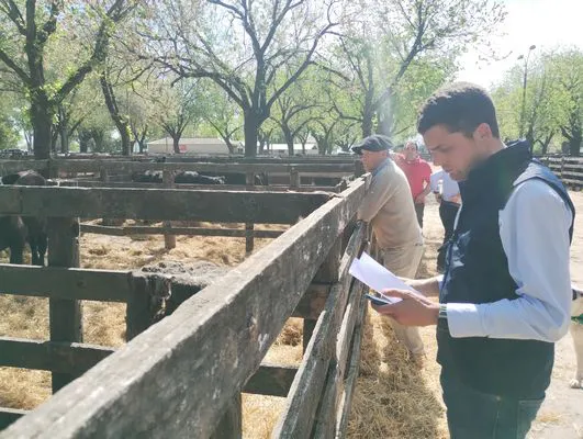 tn_IMG_20241008_145409417