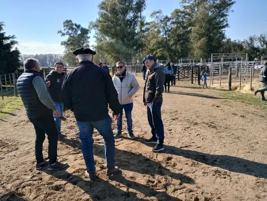 tn_IMG_20240711_120842376_HDR